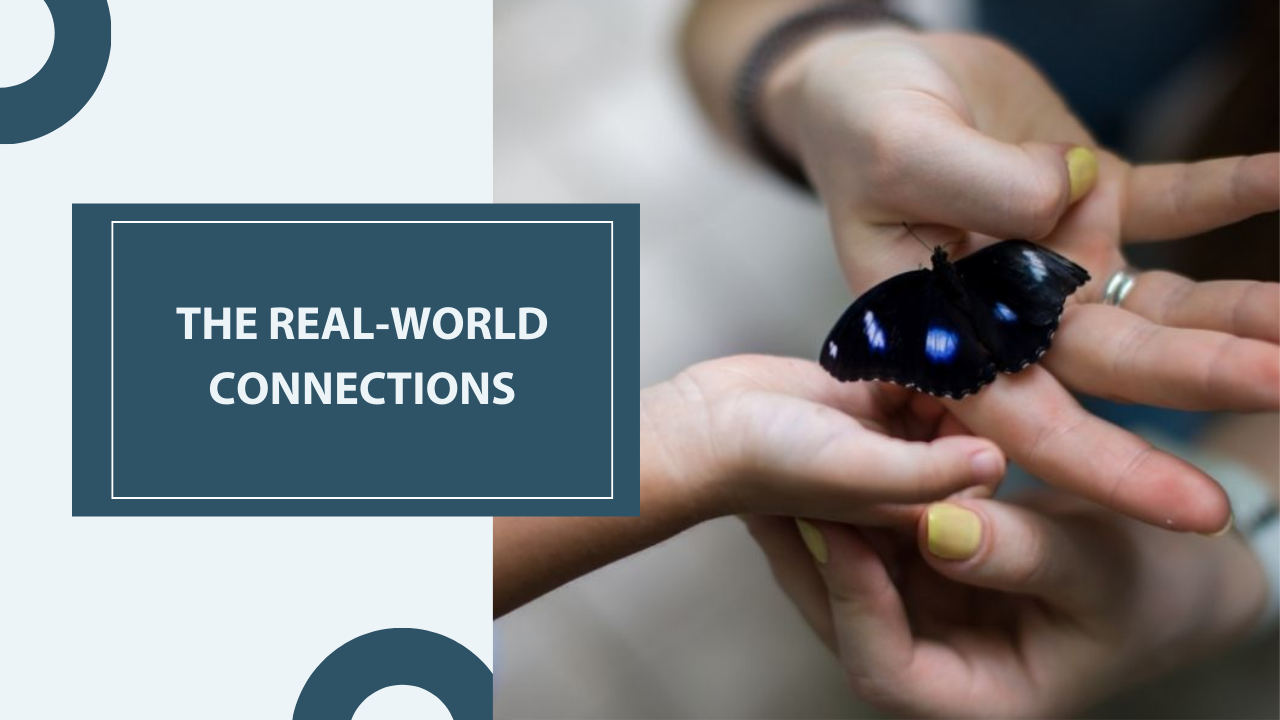 About TSUS Representative image